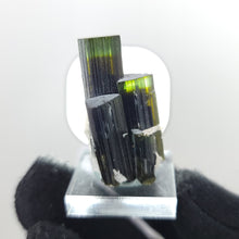 Load image into Gallery viewer, Bi-Color Stak Nala Tourmaline Cluster - The Crystal Connoisseurs
