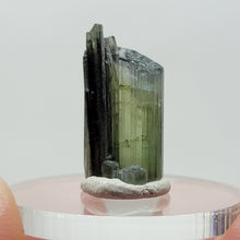 Load image into Gallery viewer, Stak Nala Tourmaline. 6ct - The Crystal Connoisseurs
