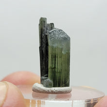Load image into Gallery viewer, Stak Nala Tourmaline. 6ct - The Crystal Connoisseurs
