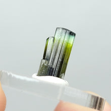 Load image into Gallery viewer, Stak Nala Tourmaline. 3.8ct - The Crystal Connoisseurs
