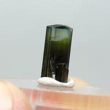 Load image into Gallery viewer, Stak Nala Tourmaline. 3.8ct - The Crystal Connoisseurs
