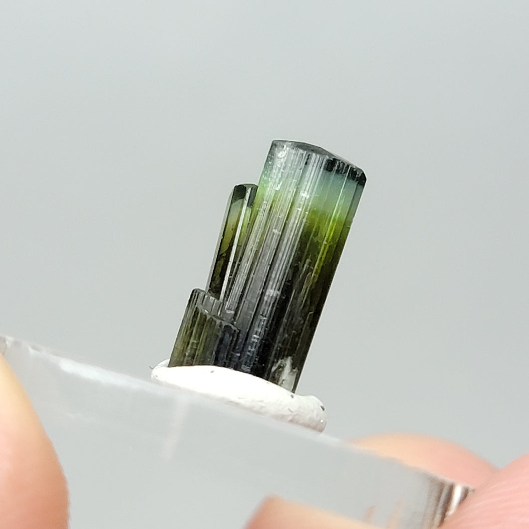 Stak Nala Tourmaline. 3.8ct - The Crystal Connoisseurs