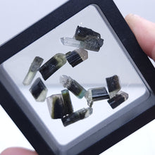 Load image into Gallery viewer, Tourmaline. Lot of 12. - The Crystal Connoisseurs
