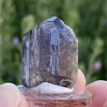 Load image into Gallery viewer, Tanzanite Specimen - The Crystal Connoisseurs
