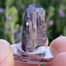 Load image into Gallery viewer, Tanzanite Specimen - The Crystal Connoisseurs
