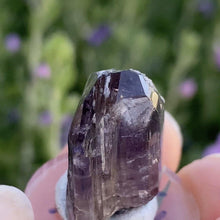 Load image into Gallery viewer, Tanzanite Specimen - The Crystal Connoisseurs
