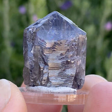 Load image into Gallery viewer, Tanzanite Specimen - The Crystal Connoisseurs
