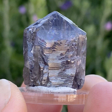 Tanzanite Specimen - The Crystal Connoisseurs