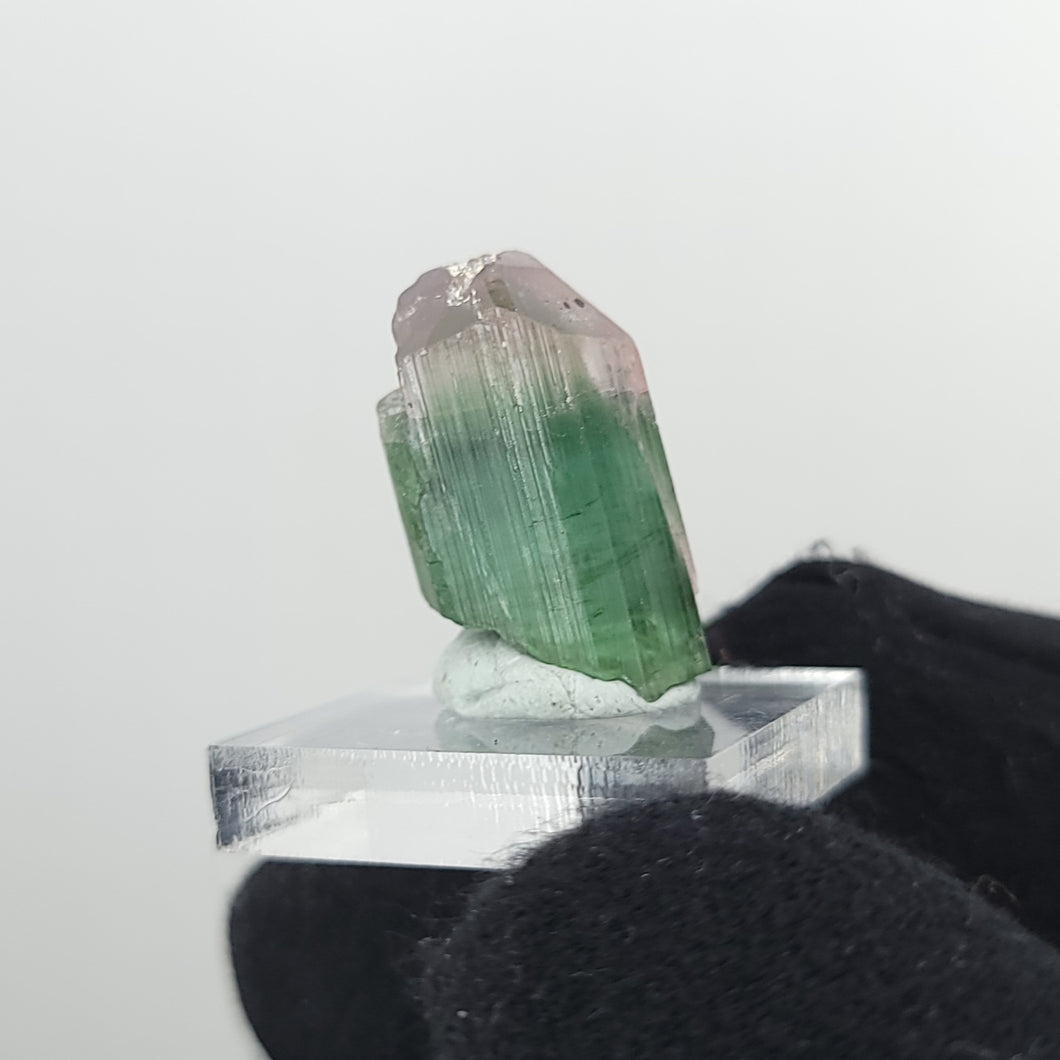 Bi-Color Tourmaline from Nigeria - The Crystal Connoisseurs