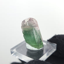 Load image into Gallery viewer, Bi-Color Tourmaline from Nigeria - The Crystal Connoisseurs
