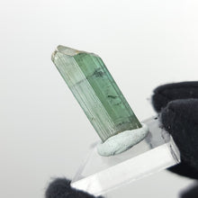 Load image into Gallery viewer, Tourmaline. Nigeria - The Crystal Connoisseurs

