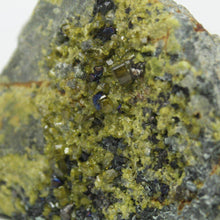 Load image into Gallery viewer, Diopside w/ Various Minerals - The Crystal Connoisseurs
