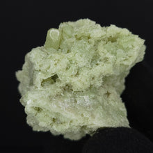 Load image into Gallery viewer, Vesuvianite Cluster. 91g - Green Vesuvianite Crystal Cluster. Locale: Unknown. Weight: 91.37 grams. Dimensions: 2 x 1.7 x 1.8in - The Crystal Connoisseurs
