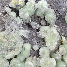 Load image into Gallery viewer, Wavellite on Matrix from Arkansas. 246g
