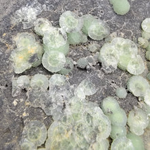 Load image into Gallery viewer, Wavellite on Matrix from Arkansas. 246g
