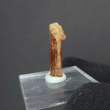 Load image into Gallery viewer, Winchite Specimen. 2.9g - The Crystal Connoisseurs

