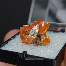Load image into Gallery viewer, Wulfenite Specimen from Red Cloud Mine. - The Crystal Connoisseurs
