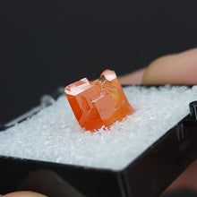 Load image into Gallery viewer, Wulfenite Specimen from Red Cloud Mine. - The Crystal Connoisseurs
