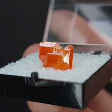 Load image into Gallery viewer, Wulfenite Specimen from Red Cloud Mine. - The Crystal Connoisseurs
