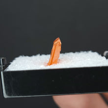 Load image into Gallery viewer, Wulfenite Specimen from Red Cloud Mine. - The Crystal Connoisseurs
