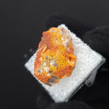 Load image into Gallery viewer, Wulfenite with Mimetite. Rowley Mine. - The Crystal Connoisseurs

