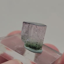 Load and play video in Gallery viewer, Tri-color Paprok Tourmaline. 15.5ct
