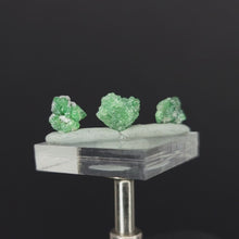 Load and play video in Gallery viewer, x3 Demantoid Garnets. 1.2g
