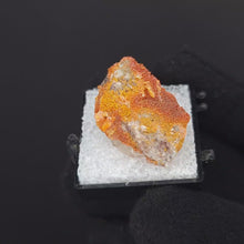 Load and play video in Gallery viewer, Wulfenite with Mimetite. Rowley Mine.
