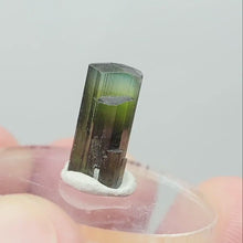 Load and play video in Gallery viewer, Stak Nala Tourmaline. 3.8ct
