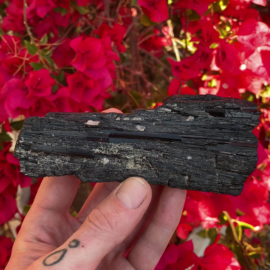 Schorl 