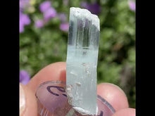 Load and play video in Gallery viewer, Self Healed Aquamarine
