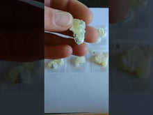 Load and play video in Gallery viewer, Brucite Pakistan
