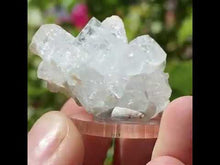 Load and play video in Gallery viewer, Aquamarine Cluster with Mica. 14g
