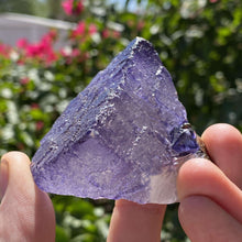Load image into Gallery viewer, Elmwood Fluorite - The Crystal Connoisseurs
