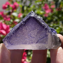 Load image into Gallery viewer, Elmwood Fluorite - The Crystal Connoisseurs
