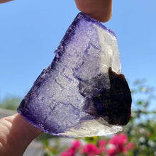 Load image into Gallery viewer, Elmwood Fluorite - The Crystal Connoisseurs
