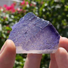 Load image into Gallery viewer, Elmwood Fluorite - The Crystal Connoisseurs
