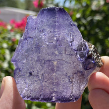 Load image into Gallery viewer, Elmwood Fluorite - The Crystal Connoisseurs
