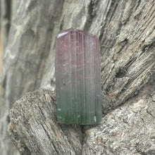 Load image into Gallery viewer, Paprok Tourmaline - The Crystal Connoisseurs
