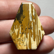 Load image into Gallery viewer, Owyhee Picture Jasper - The Crystal Connoisseurs
