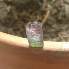 Load image into Gallery viewer, Paprok Tourmaline - The Crystal Connoisseurs
