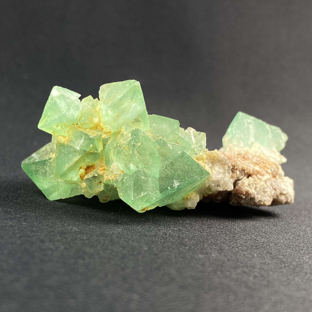 Fluorite. South Africa - The Crystal Connoisseurs