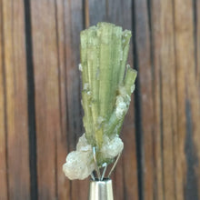 Load image into Gallery viewer, Tourmaline Cluster - The Crystal Connoisseurs

