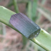Load image into Gallery viewer, Paprok Tourmaline - The Crystal Connoisseurs
