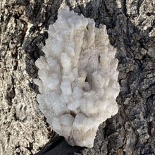 Load image into Gallery viewer, Bisbee Aragonite Specimen - The Crystal Connoisseurs
