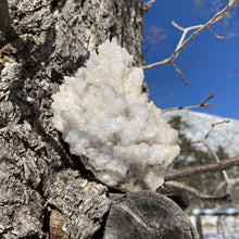 Load image into Gallery viewer, Bisbee Aragonite Specimen - The Crystal Connoisseurs
