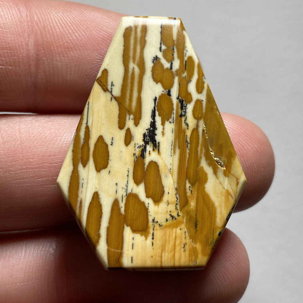Owyhee Picture Jasper - The Crystal Connoisseurs